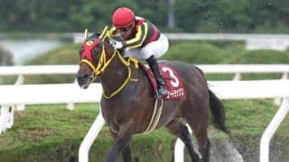 【門別・北海道SC枠順】兵庫CSまで3連勝中のエートラックスは5枠6番