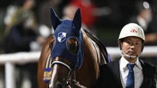 【大井・黒潮盃枠順】無傷6連勝中のダテノショウグンは7枠10番