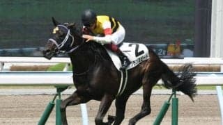 【先週のJRA抹消馬】芝1800m戦で3勝のグランスピード、6億円馬ディナシーの仔ゲンパチエトワールなど