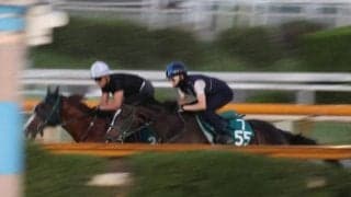 フットワーク抜群のハービンジャー産駒マリエンプラッツ 日曜中京で初陣/関西馬メイクデビュー情報
