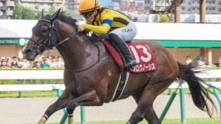 エアグルーヴ以来史上4頭目の偉業達成へ 4馬身差Vの昨年覇者が札幌記念連覇を狙う