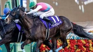 【AI予想・札幌記念】スーパーGIIは前走の距離や着順に注意 人工知能はGI勝ち馬に高評価