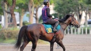 重賞3勝馬プリモシーンの初仔が待望デビュー 鞍上はC.ルメール騎手/関東馬メイクデビュー情報