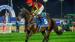 【札幌記念展望】好走条件揃っているシャフリヤールが中心