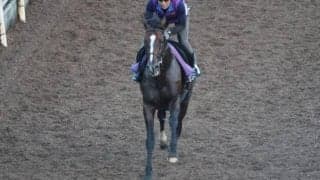 インザモーメントなど、先週の入厩情報/栗東トレセンニュース