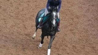 プリンシアルーチェの2022(ビジュードネージュ)など、先週のゲート試験/栗東トレセンニュース