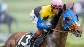 過去10頭全てが馬券圏外!? 遅咲きの期待馬がハーツクライ産駒の鬼門・札幌記念に挑む