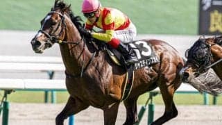 意外にもスプリント重賞は未勝利 JRA重賞67勝を誇る名門がCBC賞で初タイトル獲得へ