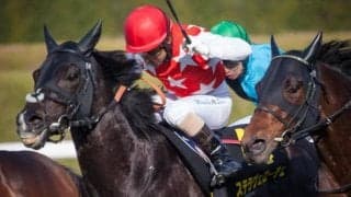 今年3度目のJRA重賞最年長V記録更新へ 39年目の大ベテランがステラヴェローチェと札幌記念参戦