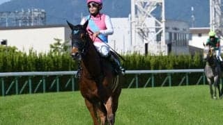 【CBC賞予想オッズ】ピューロマジックが予想1番人気