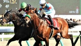 GI馬4頭が集結した5年前の札幌記念 出走馬のその後をみてみると…