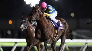 【盛岡・クラスターC注目馬】秋の大一番に向けて短距離王候補が始動