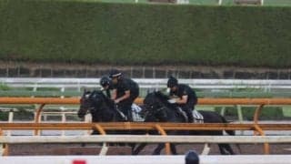 レッドラディエンス、新潟記念追い切り速報/栗東トレセンニュース