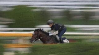 オオバンブルマイ、キーンランドC1週前追い切り速報/栗東トレセンニュース