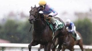 【キーンランドC想定】ナムラクレア、オオバンブルマイなど13頭