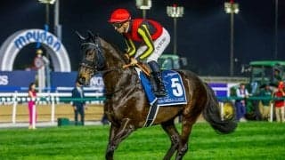 武豊騎手×藤原英昭厩舎の超強力タッグが札幌記念で実現 5年ぶりJRA重賞制覇なるか