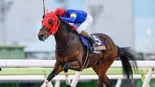 川村禎彦調教師の死去に伴う転厩 ブルーサンなど全頭が庄野靖志厩舎へ