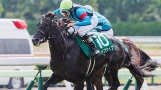 昨年は9番人気激走で3連単16万馬券に 今年も札幌記念で高配当呼ぶか