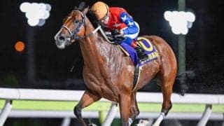 【大井・黒潮盃結果】ダテノショウグンが完勝で無傷7連勝