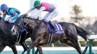 【札幌記念予想】AIの推奨は実績上位のGI馬 取捨を悩ます“臨戦過程”が妙味生む？
