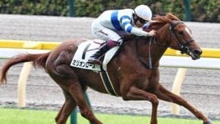完勝デビューのスワーヴリチャード産駒 クローバー賞で2連勝なるか