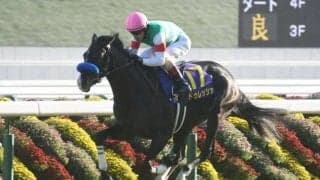 英G1インターナショナルSのテレビ・ラジオ中継予定 昨年の菊花賞馬ドゥレッツァが参戦