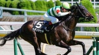 “未来の菊花賞馬”となれるか ヘデントールが秋に向けて弾みをつける白星狙う