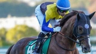 近5戦で2着4回の重賞3勝馬 札幌記念で待望の“金メダル”なるか