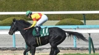 【CBC賞枠順確定】アグリは8枠16番、スズハロームは3枠6番