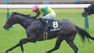 “菊の惑星”に名乗りを上げるか 札幌記念出走トップナイフの半弟が無傷3連勝で秋に弾みをつける