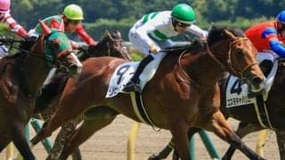 アイドルホース・メイケイエールの全弟 白毛一族の期待馬が連勝でオープンVへ