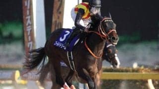 ゴールドドリーム産駒のJRA一番星なるか 良血馬ジャナドリアが今週末初陣