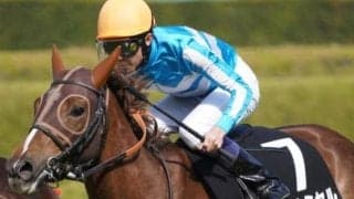 札幌芝はゴールドシップ天国！ 伏兵ヴェルミセルの一発があるぞ