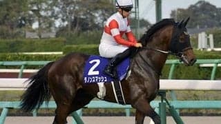 GI・2勝馬の全妹が土曜中京でデビュー ハリウッドメモリーが初白星狙う