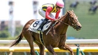 【新潟2歳S想定馬・騎手】コートアリシアン、ケイテンアイジンなど12頭