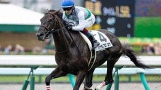 「青森の星」ハヤテノフクノスケ 札幌日刊スポーツ杯で連勝狙う