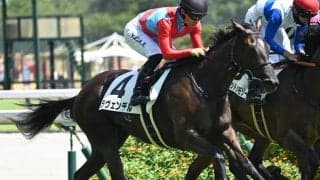 【中京5R新馬戦結果】キンシャサノキセキ産駒ラヴェンデルが初陣飾る