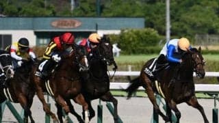【豊明S結果】クランフォードが日本レコードタイで3連勝