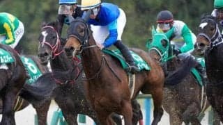 【CBC賞予想】芝コースは絶好コンディション 高速決着は必至のスピード勝負を制すのは？