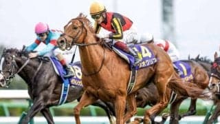 札幌芝は内＆前有利だが…札幌記念はプログノーシスの仕掛け所がカギだ