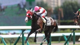 【新馬/札幌5R】3億円ホース！ショウナンバルドルがデビュー勝ち