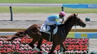 【新馬/新潟5R】5番人気パッションリッチが抜け出す…断然人気プリモシークエンスは3着敗退