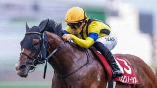 【札幌記念・馬体重】プログノーシスは478kg(-6)、シャフリヤールは464kg