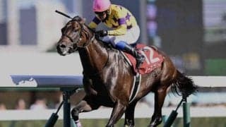 【札幌記念結果】ノースブリッジが押し切り重賞3勝目！