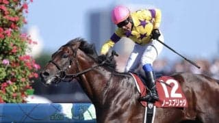 【札幌記念】ノースブリッジが鮮やかに抜け出す！…プログノーシスは出遅れ響いて4着