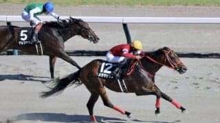 【NST賞】森秀行×藤田晋 メタマックスが鮮やかな差し切りV