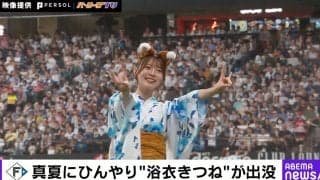 “浴衣きつね”に癒される…夏限定コスで“きつねダンス”を披露した笑顔のチアに「破壊力えぐい」「可愛すぎ」の声