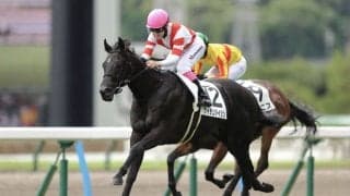 【新潟2歳S登録馬】ケイテンアイジンなど11頭