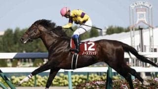 【札幌記念】売上は61億3605万300円で昨年より約35億円減少 ボッケリーニが発走直前に競走除外