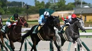 【CBC賞】売上は45億8454万円で昨年より約3億円減少